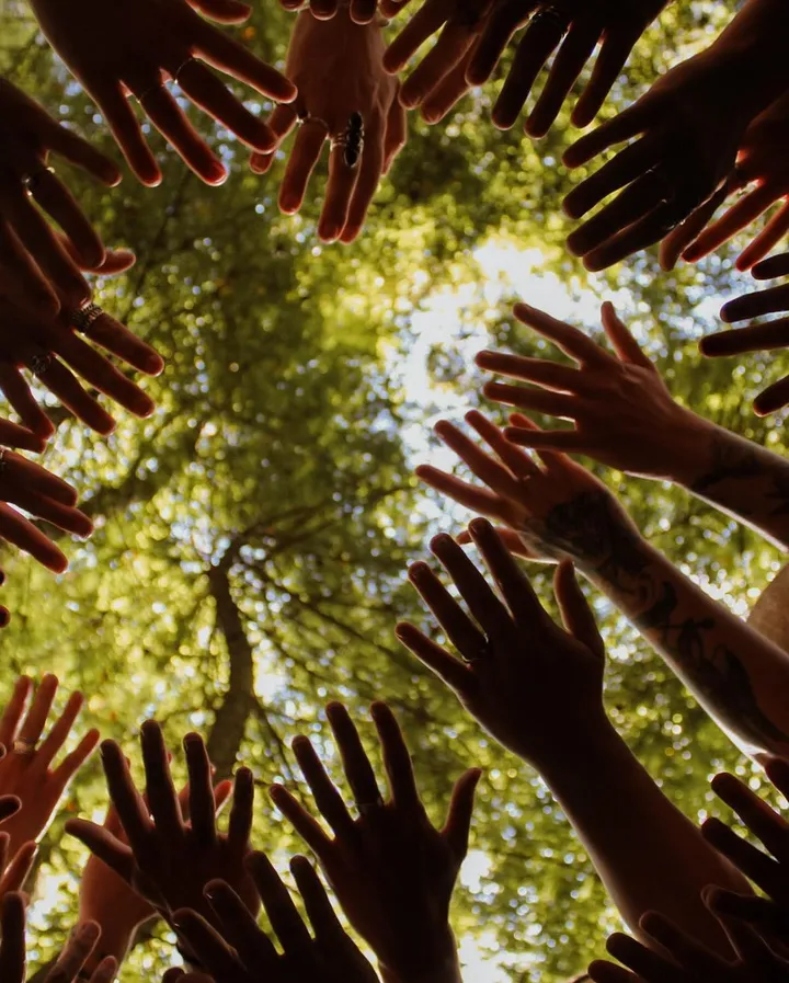 A ring of raised hands is photographed from below against a canopy of sunlit tree leaves.