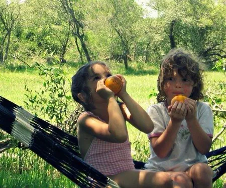 Two children sit on a hammock outdoors eating small oranges, with green trees and grass behind them.